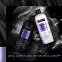 TRESemme Purple Blonde Daily Shampoo, 28 fl oz