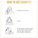 Pantene Shampoo Conditioner Pack, Smooth and Sleek, 10.5-11 Oz