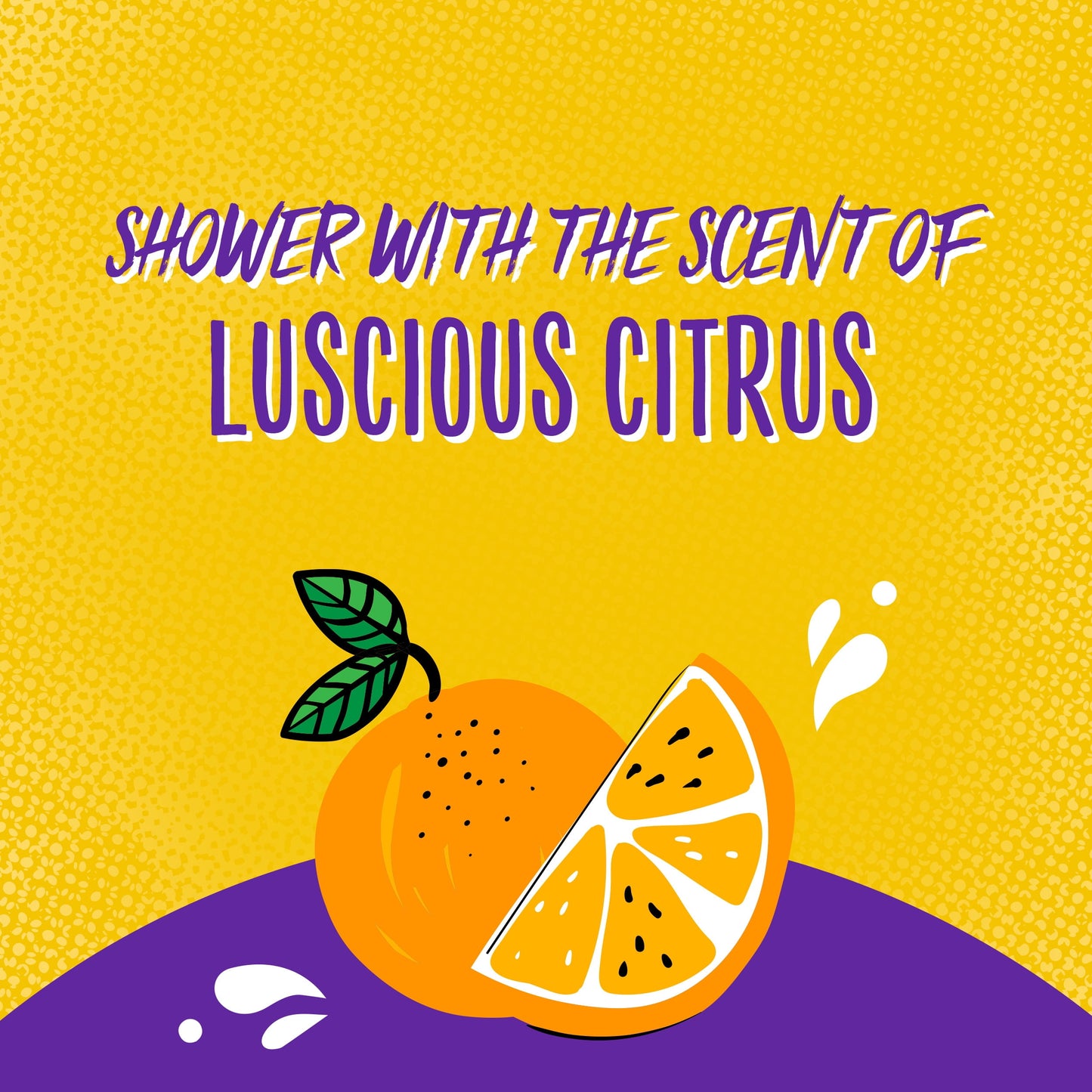 Aussie Miracle Curls Shampoo, Coconut & Jojoba Oil, Paraben Free, for Curly Hair, 12.1 fl oz