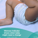 Pampers Baby-Dry Diapers Size 6 18 Count