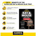 Harris Super-Size Rat and Mouse Glue Trap with Lure, 1 Trap