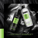 TRESemme Flawless Curls Enhancing Daily Shampoo, Coconut Essence, 28 fl oz
