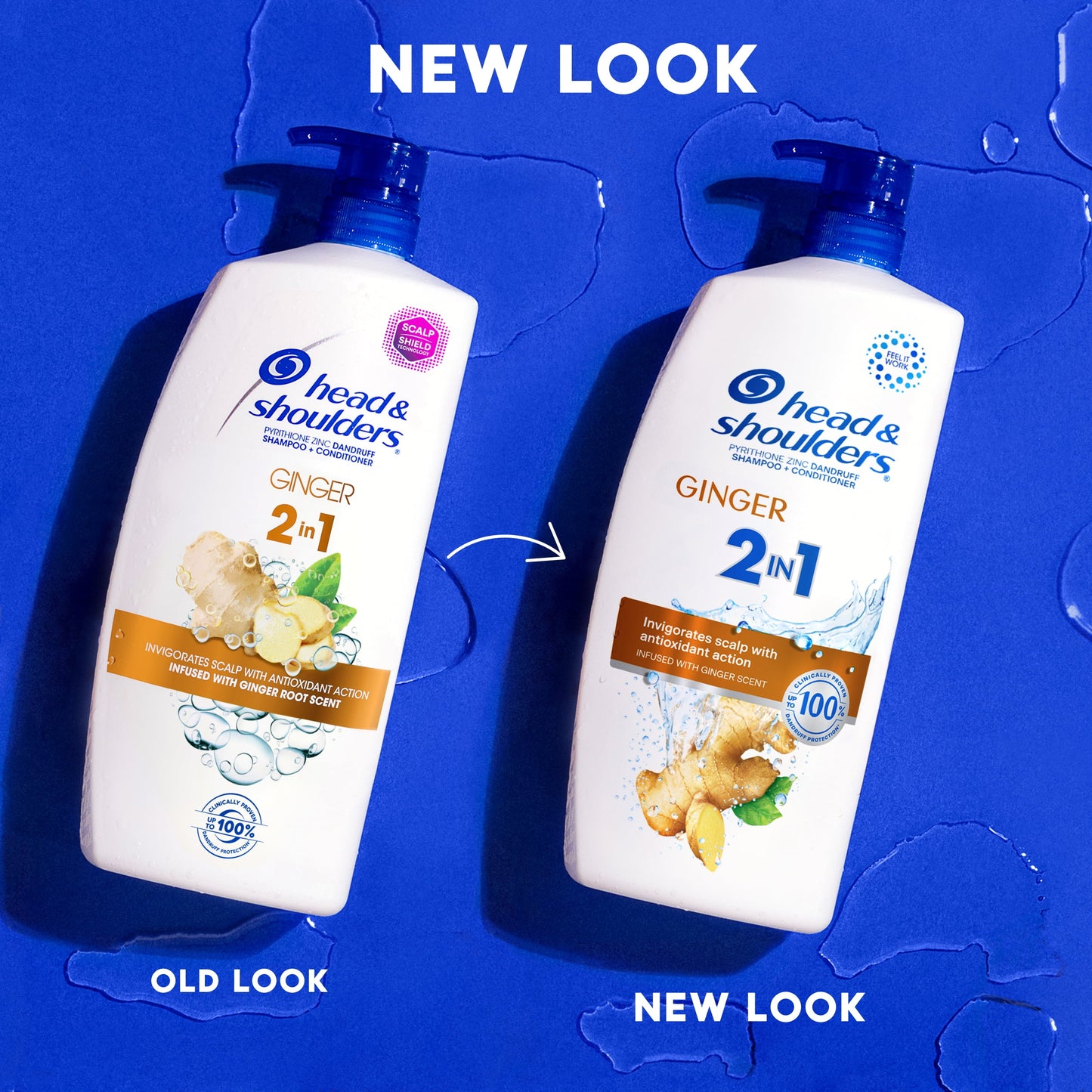 Head & Shoulders 2 in 1 Dandruff Shampoo and Conditioner, Ginger, 12.5 oz