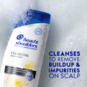 Head and Shoulders Dandruff Shampoo, Charcoal, 12.5 oz