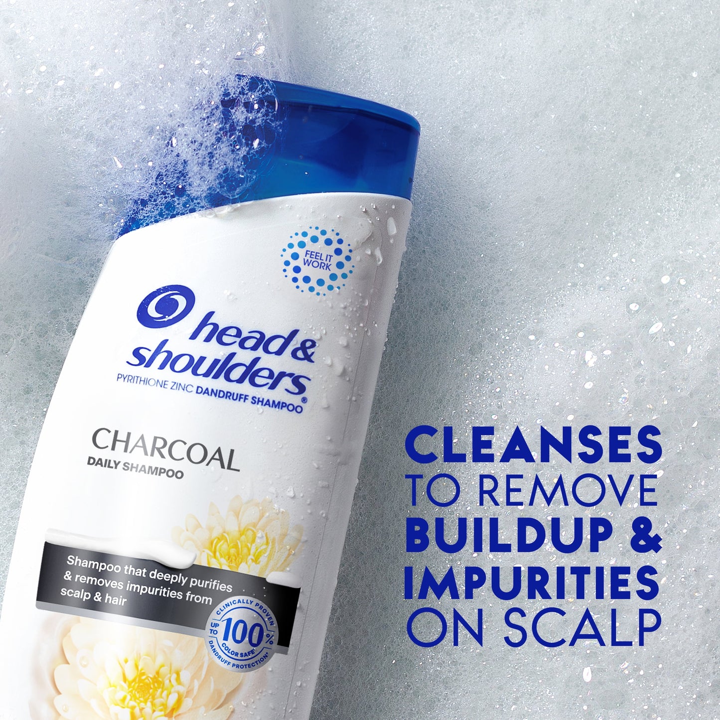 Head and Shoulders Dandruff Shampoo, Charcoal, 12.5 oz