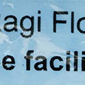 Organic Ragi Flour