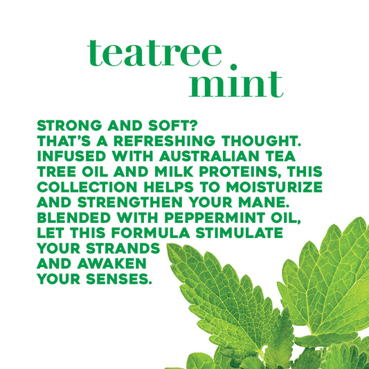 OGX Hydrating + Tea Tree Mint Nourishing & Invigorating Daily Conditioner with Peppermint Oil & Milk Proteins, 13 fl oz