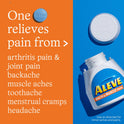 Aleve Back & Muscle Pain Reliever Naproxen Sodium Tablets, 90 Count