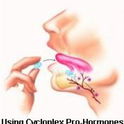 Innovative Labs Monster Plexx