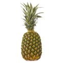 Fresh Pineapple, Each