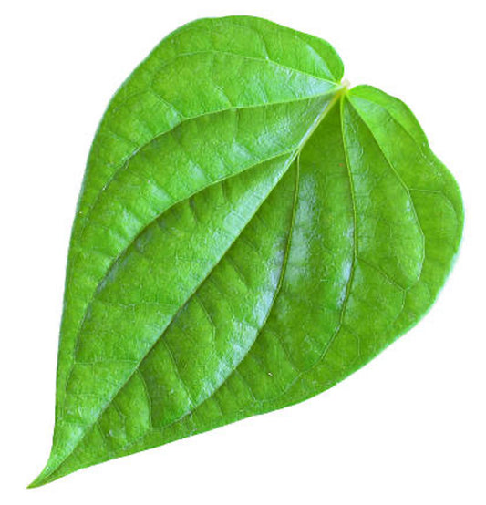 Paan Leaves