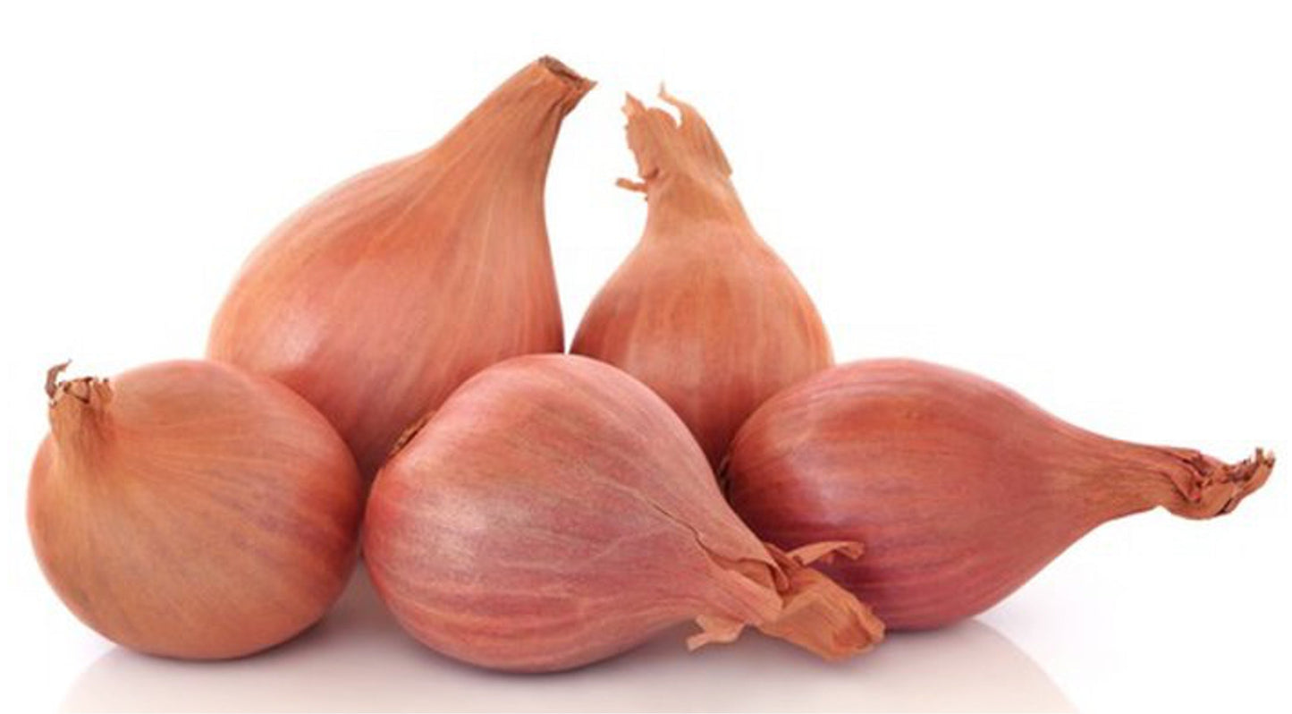 Shallot Onions Bag