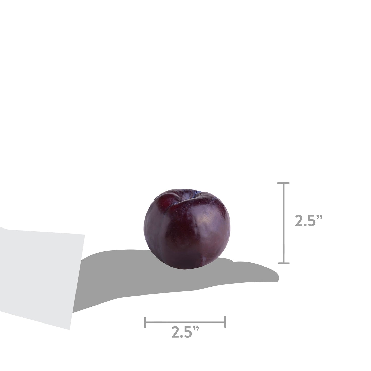 Fresh Plum, Each