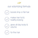 Dove Volume and Fullness Daily Shampoo with Biotin Complex, 20.4 fl oz