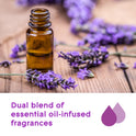Glade Aromatherapy PlugIns Scented Oil Refills, Air Freshener, Fragrance Infused with Essential Oils, Choose Calm Scent with Notes of Lavender & Sandalwood, 5 x 0.67 oz (19.8 ml)