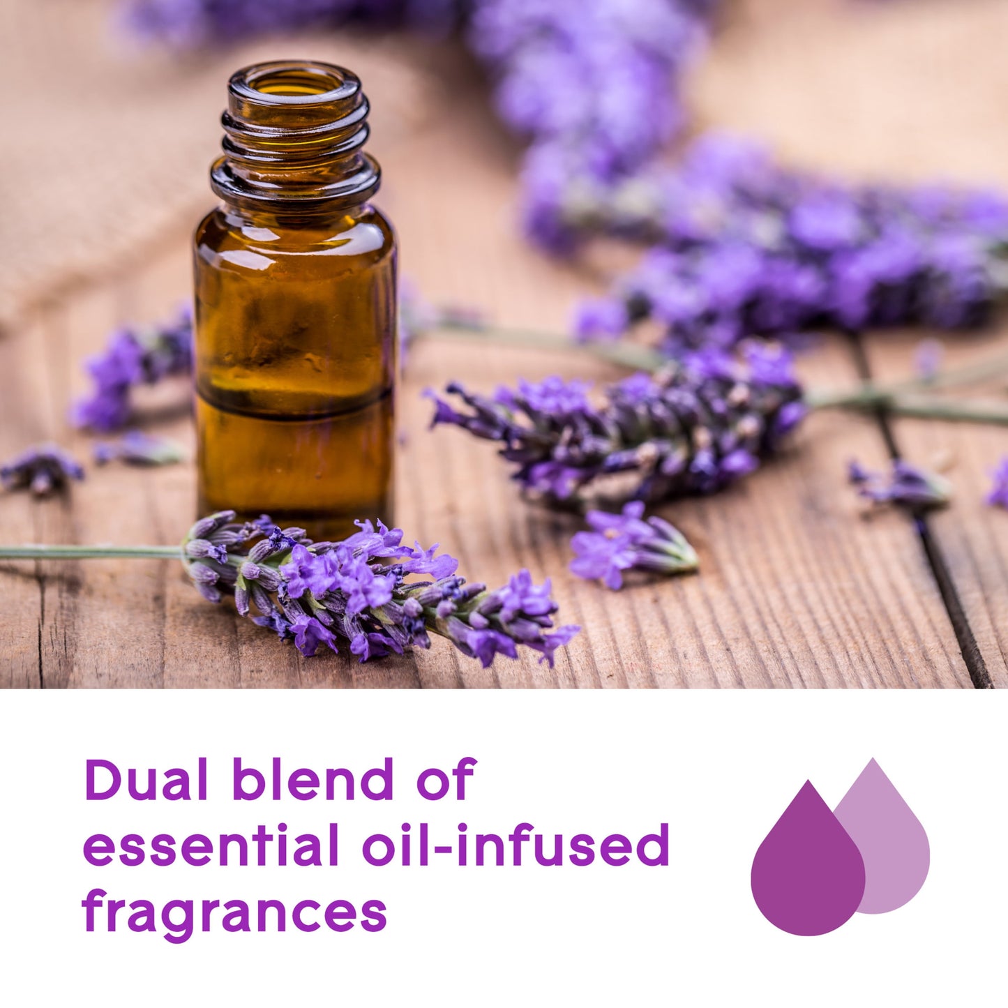 Glade Aromatherapy PlugIns Scented Oil Refills, Air Freshener, Fragrance Infused with Essential Oils, Choose Calm Scent with Notes of Lavender & Sandalwood, 5 x 0.67 oz (19.8 ml)
