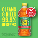 Pine-Sol Multi-Surface Cleaner, Original, 48 fl oz