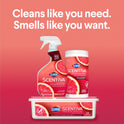 Clorox Scentiva Bleach-Free Multi-Surface Cleaner Spray, Grapefruit & Orange Blossom, 32 fl oz