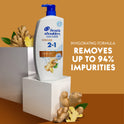 Head & Shoulders 2 in 1 Dandruff Shampoo and Conditioner, Ginger, 12.5 oz