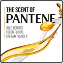 Pantene Shampoo Conditioner Pack, Smooth and Sleek, 10.5-11 Oz
