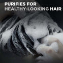 Dove Men+Care Purifying Daily Shampoo for Dry Hair, Charcoal and Clay, 20.4 fl oz