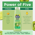 Alberto VO5 Kiwi Lime Squeeze Conditioner with Vitamin E & C, for All Hair Types, 16.9 fl oz