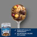 Progresso Light, Zesty Santa Fe Style Chicken Soup, Gluten Free, 18.5 oz.