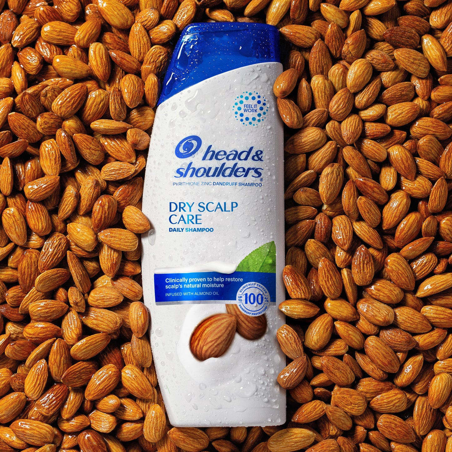 Head & Shoulders Dandruff Shampoo, Dry Scalp Care, 12.5 oz