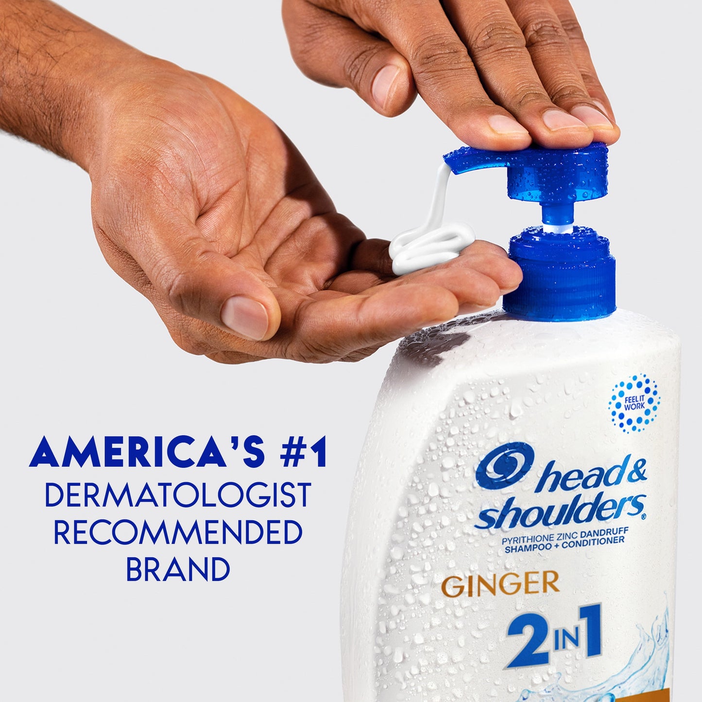 Head & Shoulders 2 in 1 Dandruff Shampoo and Conditioner, Ginger, 12.5 oz