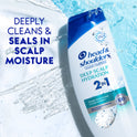 Head & Shoulders 2 in 1 Dandruff Shampoo and Conditioner, Deep Scalp Hydration, 12.5 fl oz