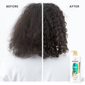 Pantene Pro-V Smooth and Sleek Conditioner, Shine Enhancing, 16.0 fl oz