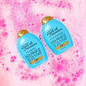 OGX Renewing + Argan Oil of Morocco Hydrating Hair Shampoo, 13 fl oz