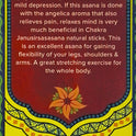 Yoga Natural Sticks
