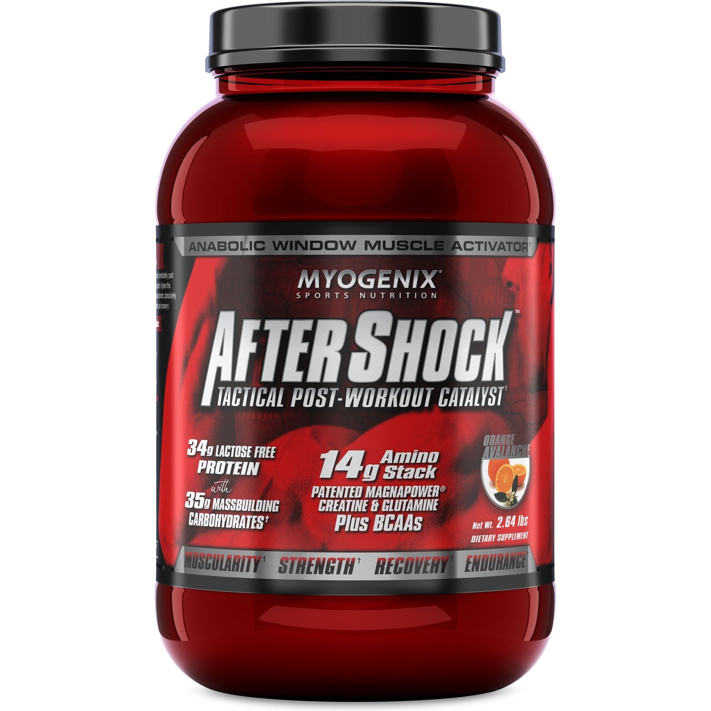 Myogenix AfterShock 2.64 Lbs.