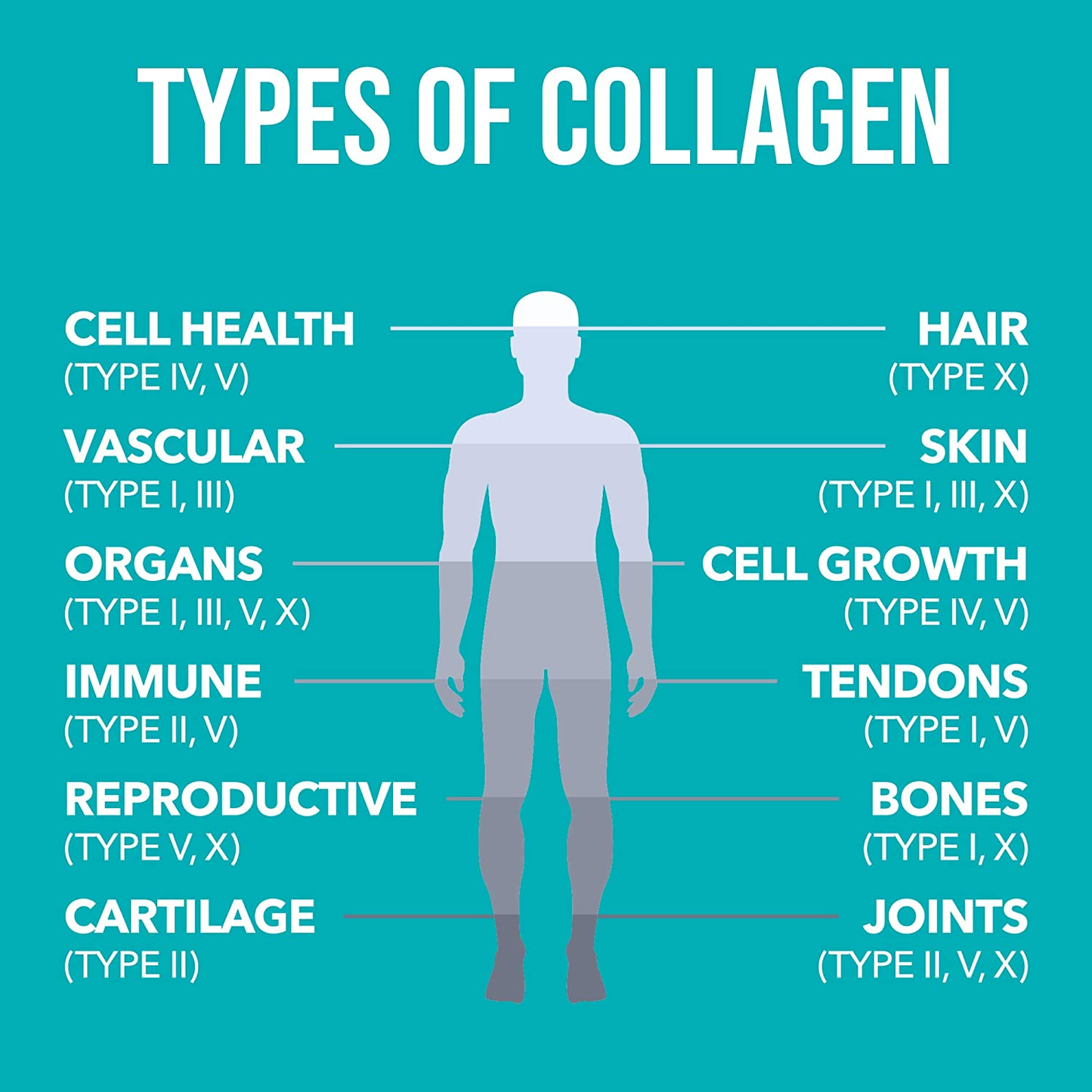 NaturesPlus Collagen Peptides