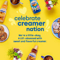 International Delight Caramel Macchiato Coffee Creamer, 16 Oz.